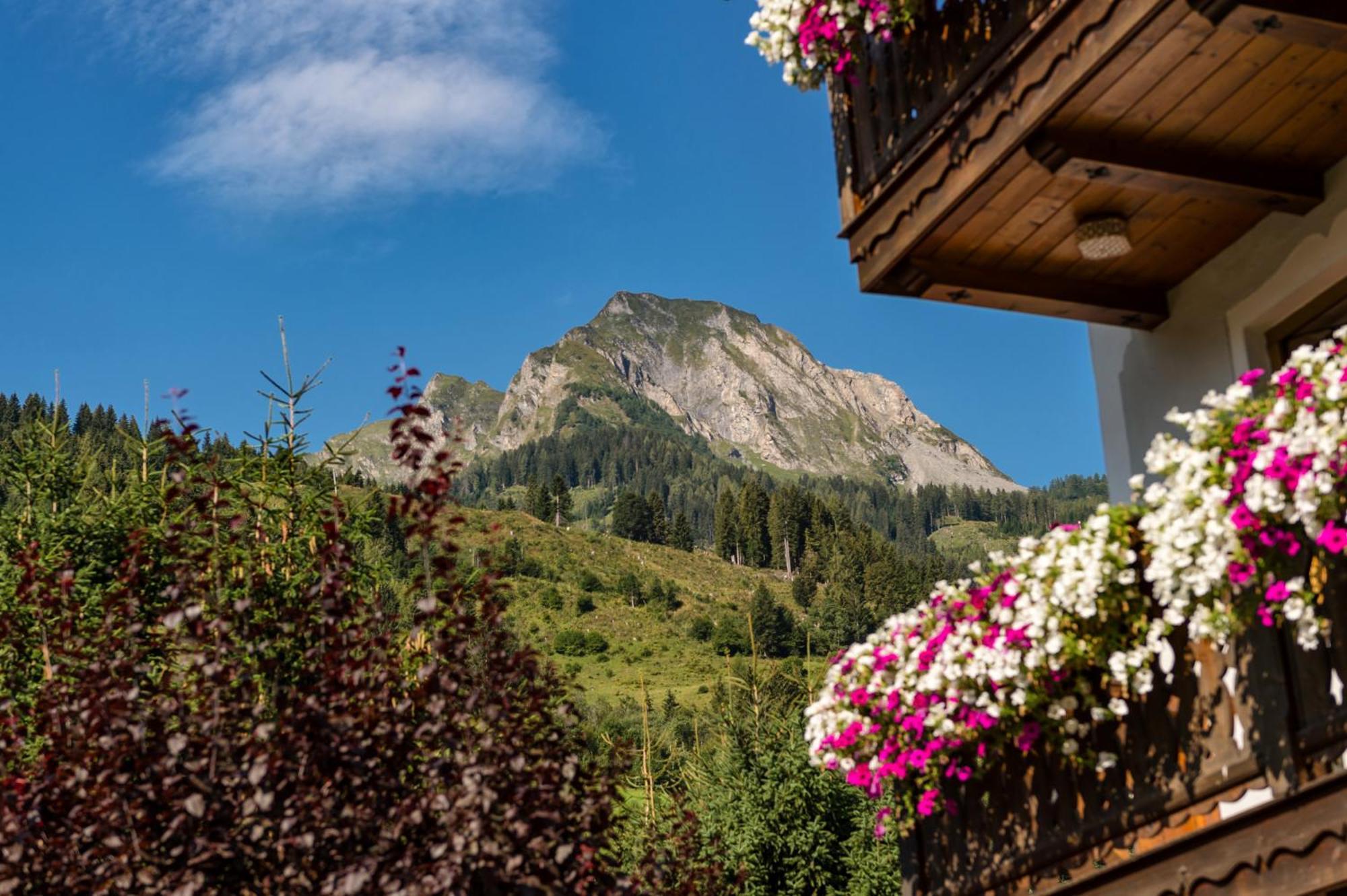 Bauernhofhotel "Die Unterbergerin" - Zimmer Mit Fruehstueck Und Ferienwohnungen In Gastein Mit Gratis Thermeneintritt ドルフガシュタイン エクステリア 写真