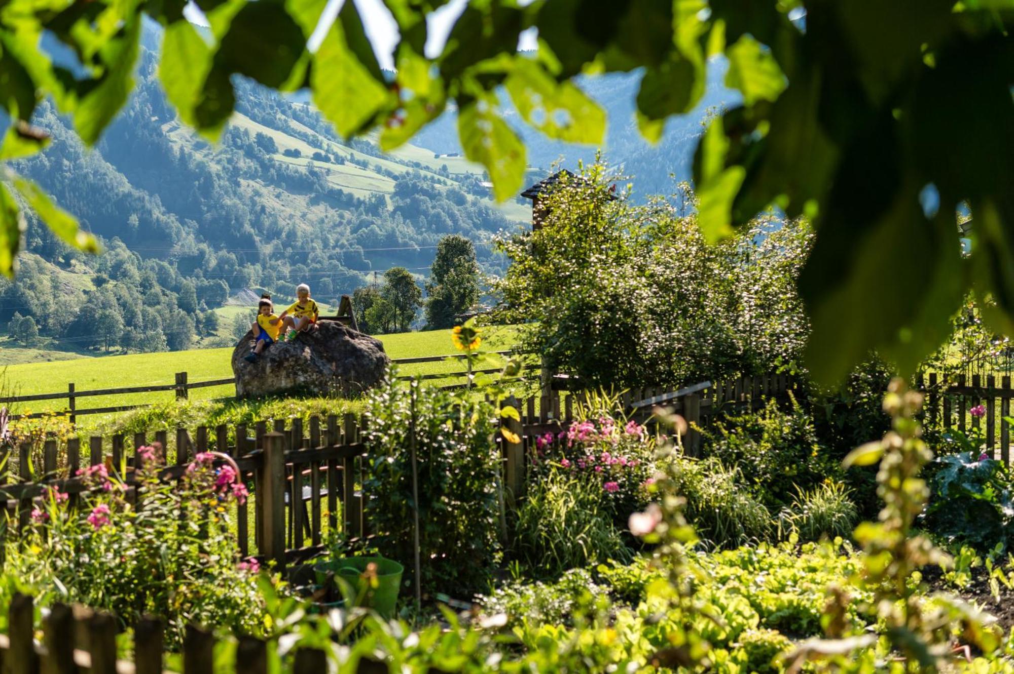 Bauernhofhotel "Die Unterbergerin" - Zimmer Mit Fruehstueck Und Ferienwohnungen In Gastein Mit Gratis Thermeneintritt ドルフガシュタイン エクステリア 写真