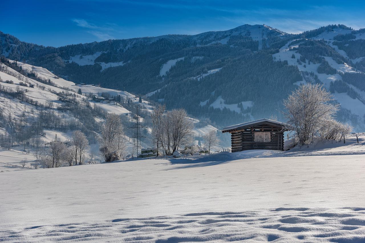 Bauernhofhotel "Die Unterbergerin" - Zimmer Mit Fruehstueck Und Ferienwohnungen In Gastein Mit Gratis Thermeneintritt ドルフガシュタイン エクステリア 写真